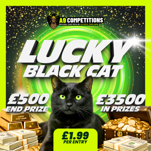 £3,500 LUCKY BLACK CAT